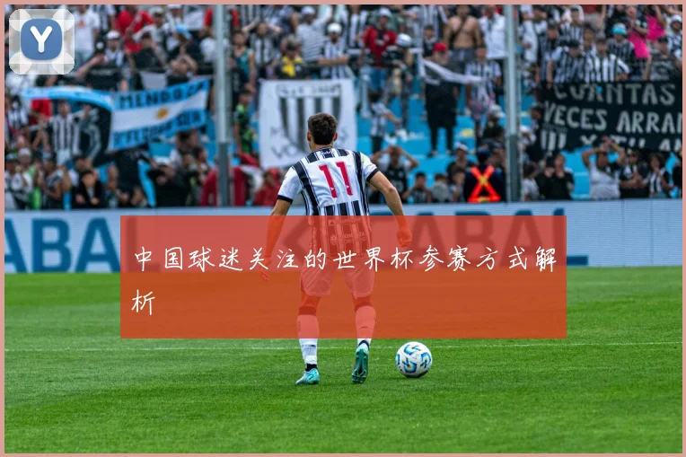 中国球迷关注的世界杯参赛方式解析