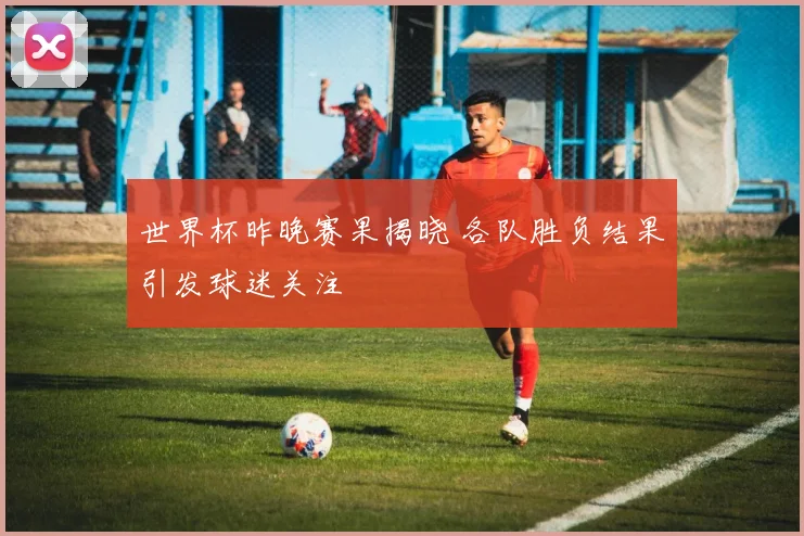 世界杯昨晚赛果揭晓 各队胜负结果引发球迷关注