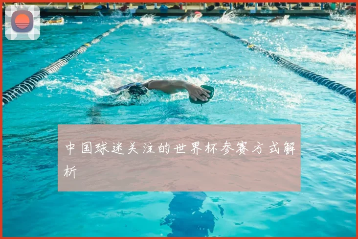 中国球迷关注的世界杯参赛方式解析