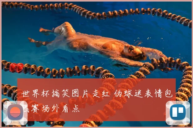 世界杯搞笑图片走红 伪球迷表情包成赛场外看点