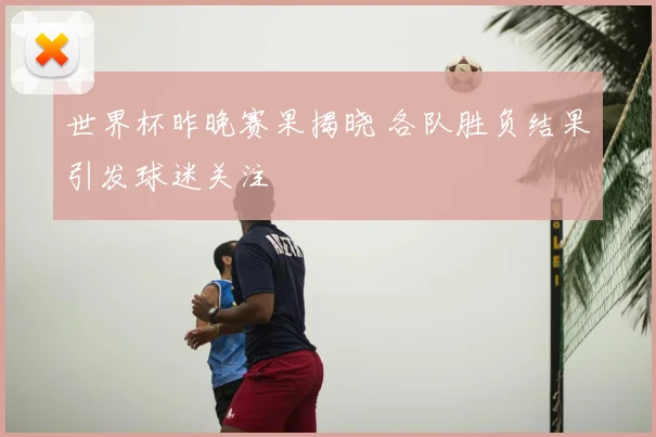 世界杯昨晚赛果揭晓 各队胜负结果引发球迷关注