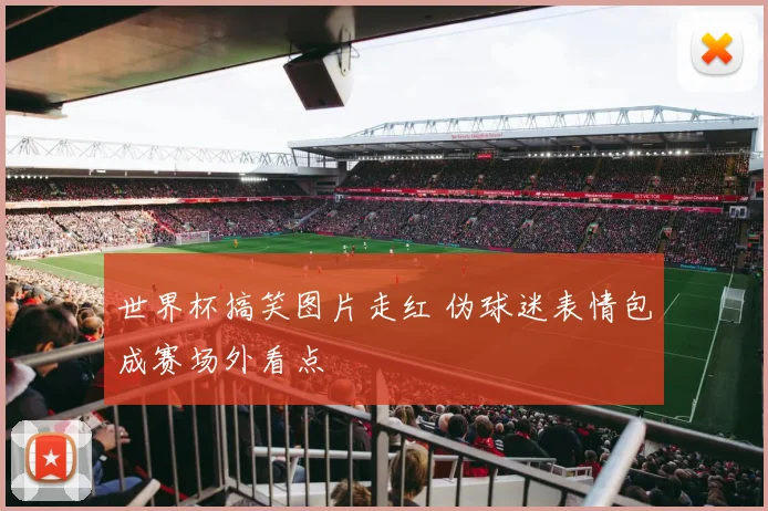 世界杯搞笑图片走红 伪球迷表情包成赛场外看点