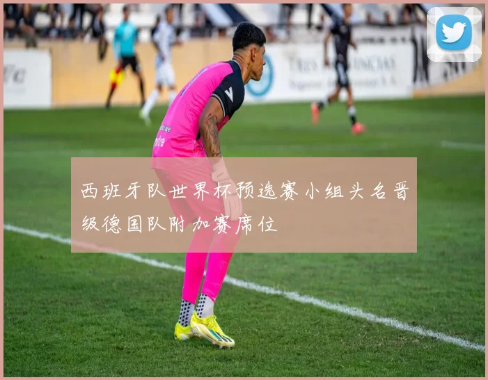西班牙队世界杯预选赛小组头名晋级德国队附加赛席位